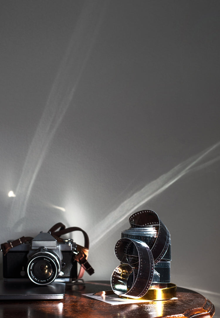 neuheiten - frisch eingetroffen