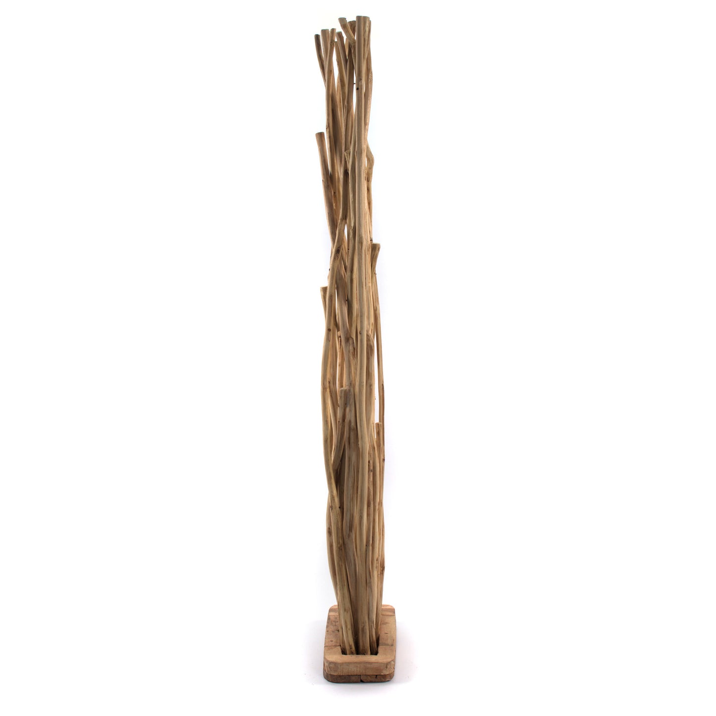ZWEIGE RAUMTEILER "BOTANIC" | Teak Holz, 170 cm | Äste Paravent
