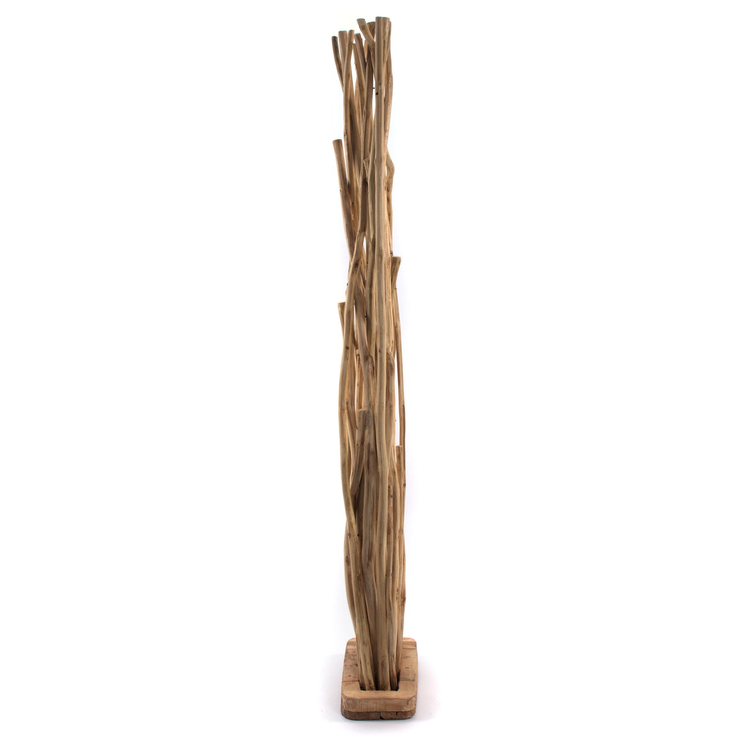 ZWEIGE RAUMTEILER "BOTANIC" | Teak Holz, 170 cm | Äste Paravent