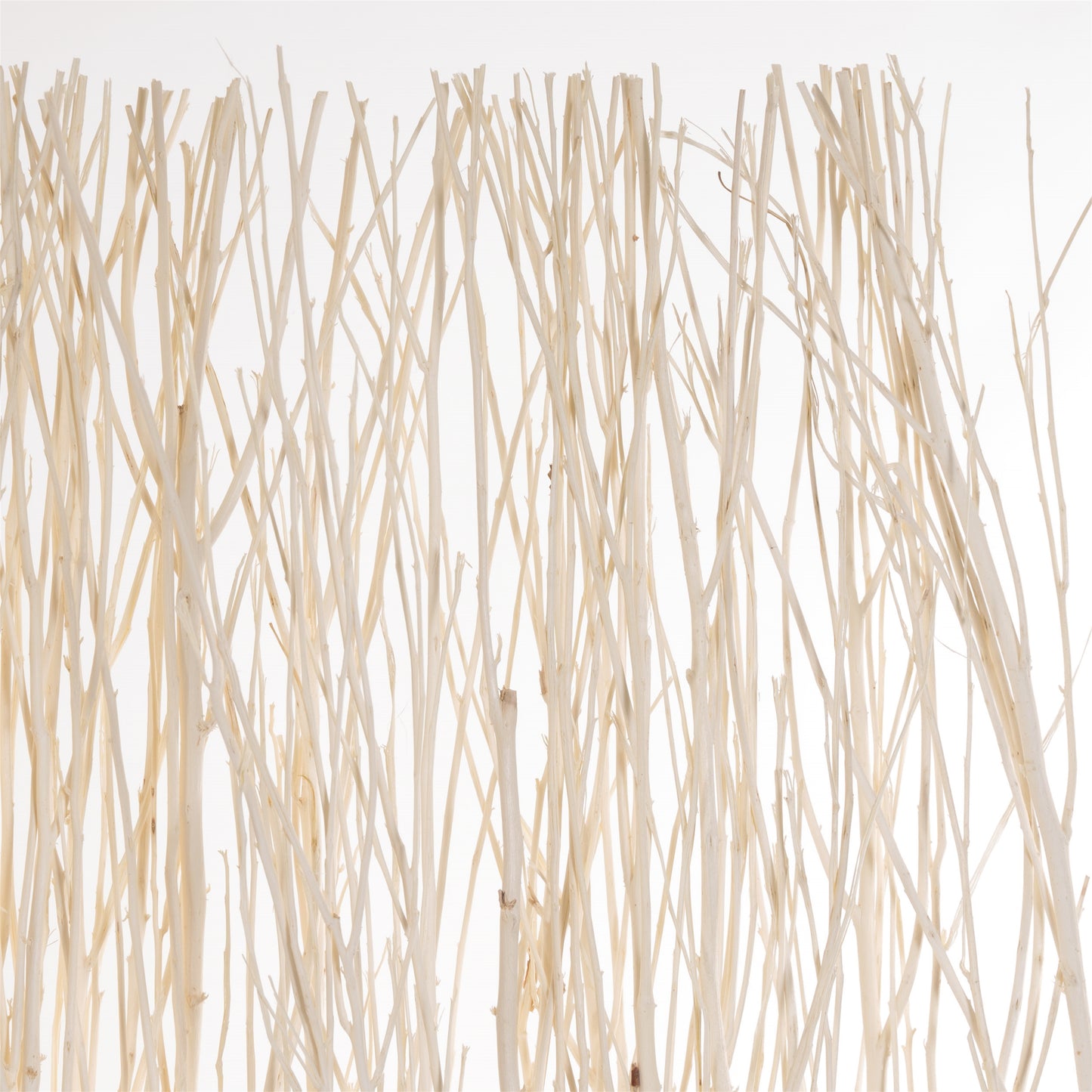 RAUMTEILER "NATURE 2" | 170x120 cm (HxB), Weide, geblichen | Paravent