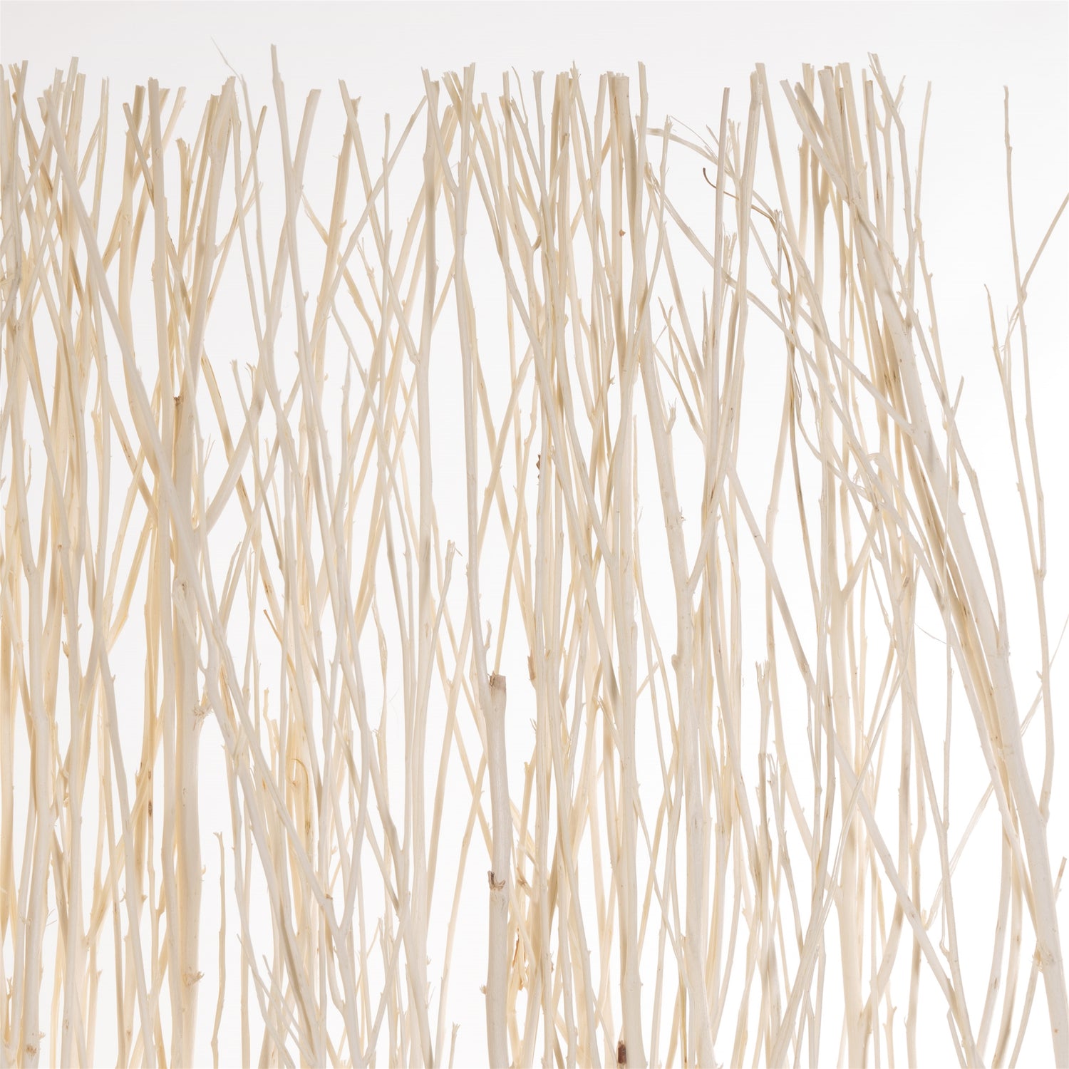RAUMTEILER "NATURE 2" | 170x120 cm (HxB), Weide, geblichen | Paravent