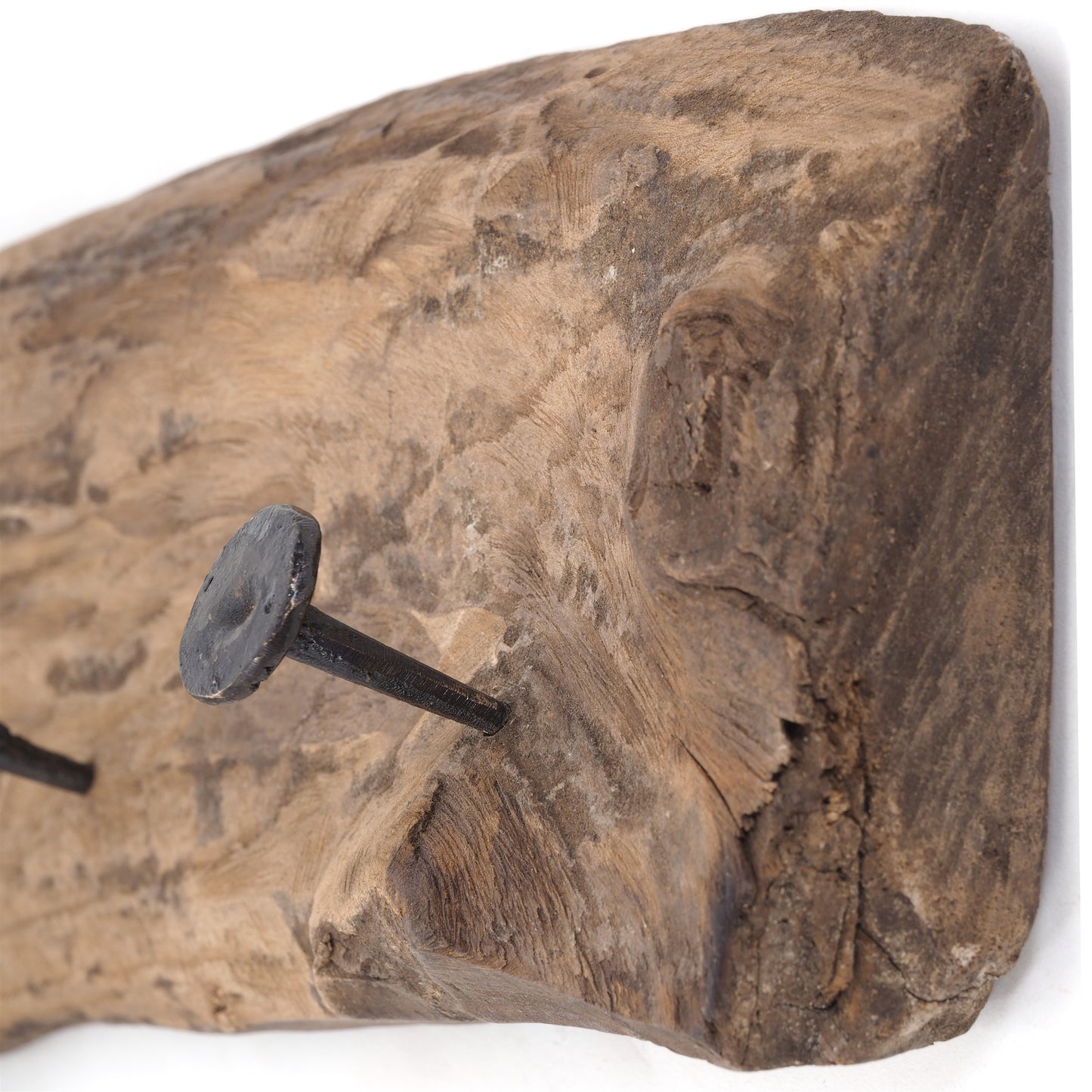 WANDGARDEROBE "TEAKROOTS 50" | Teakholzwurzel, 50x12cm(LxH)
