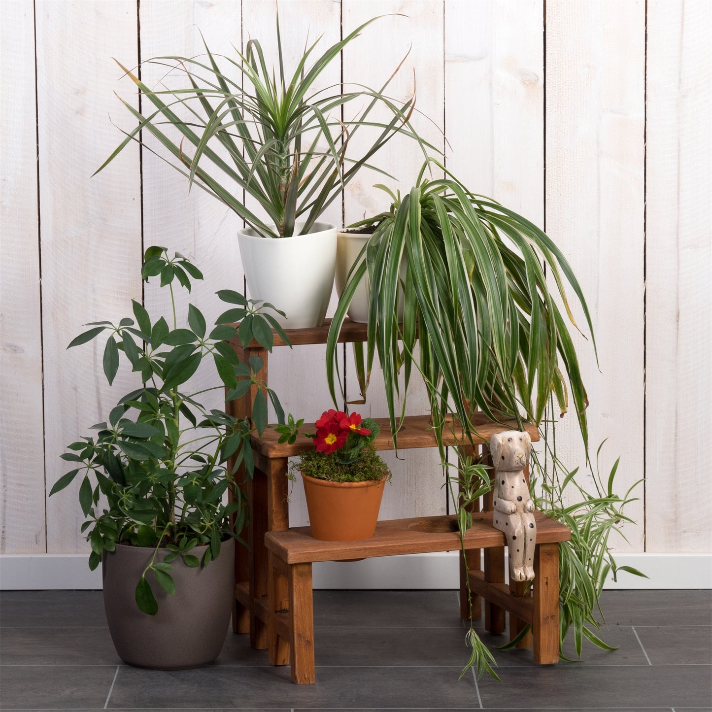 PFLANZENTREPPE "PALCO" | 3 Ebenen, Mahagoni | Holz Blumenständer