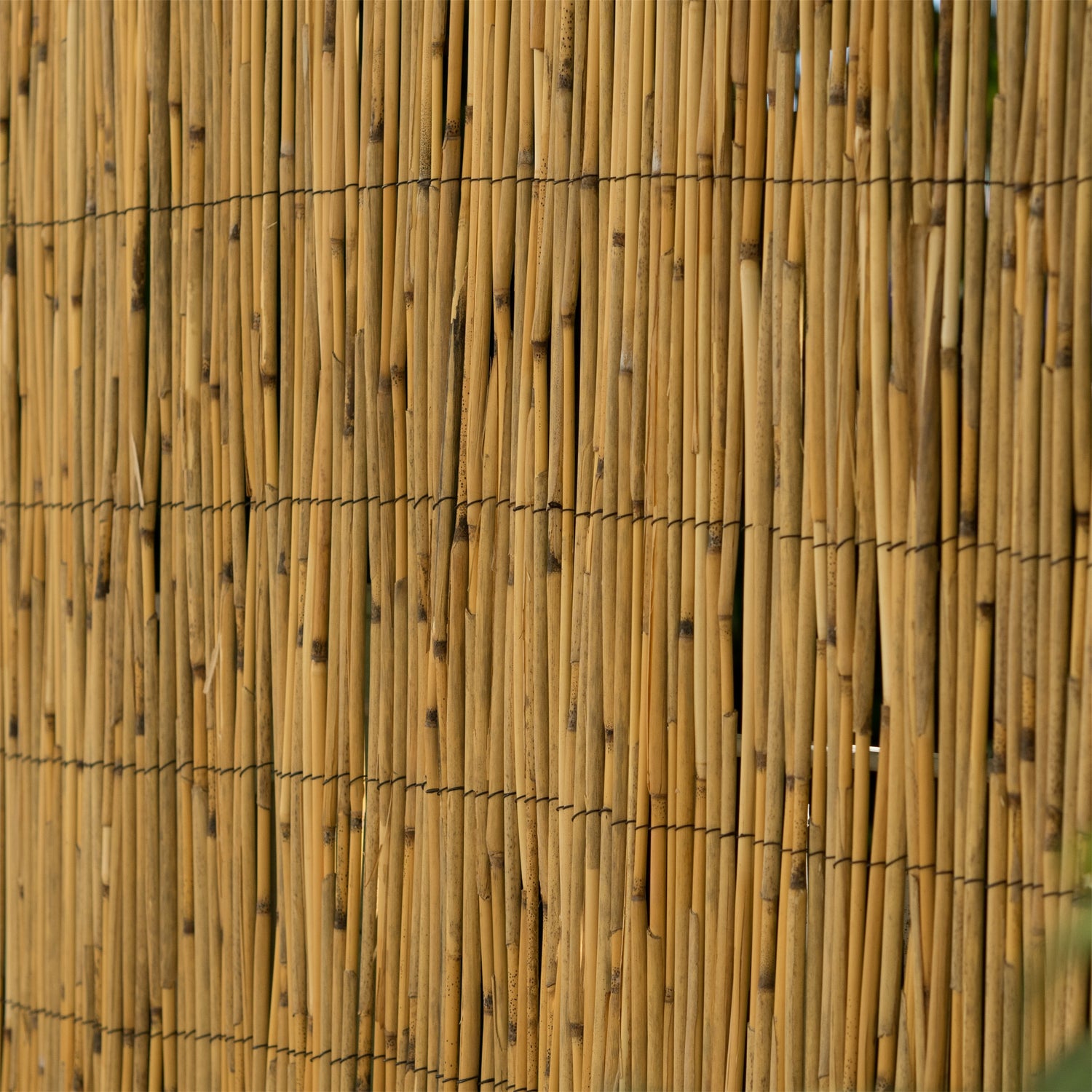 SCHILFROHRMATTE "AROA" | 600x160 cm | Schilfmatte, Sichtschutz