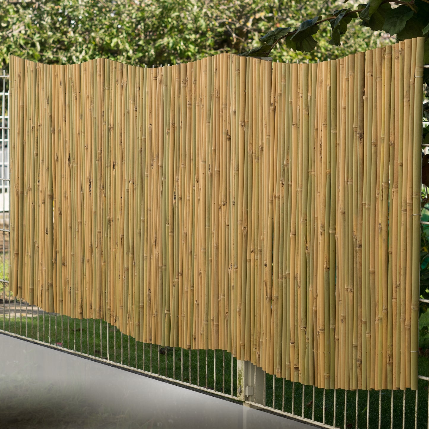 BAMBUSMATTE "LUKATA" | Bambus, 250 cm | Sichtschutz Matte
