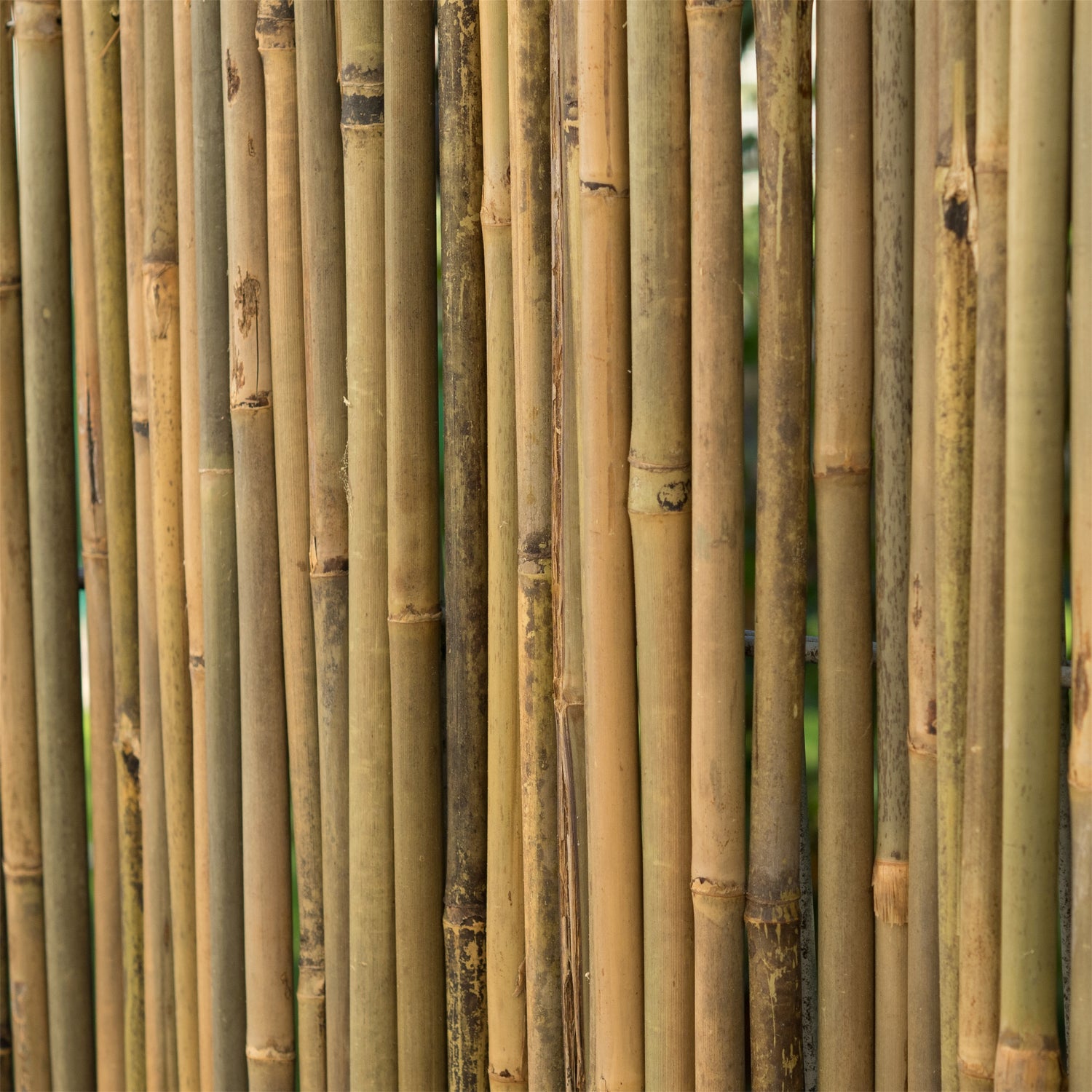 BAMBUSMATTE "LUKATA" | Bambus, 250 cm | Sichtschutz Matte